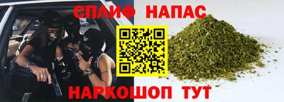 сатива Будённовск