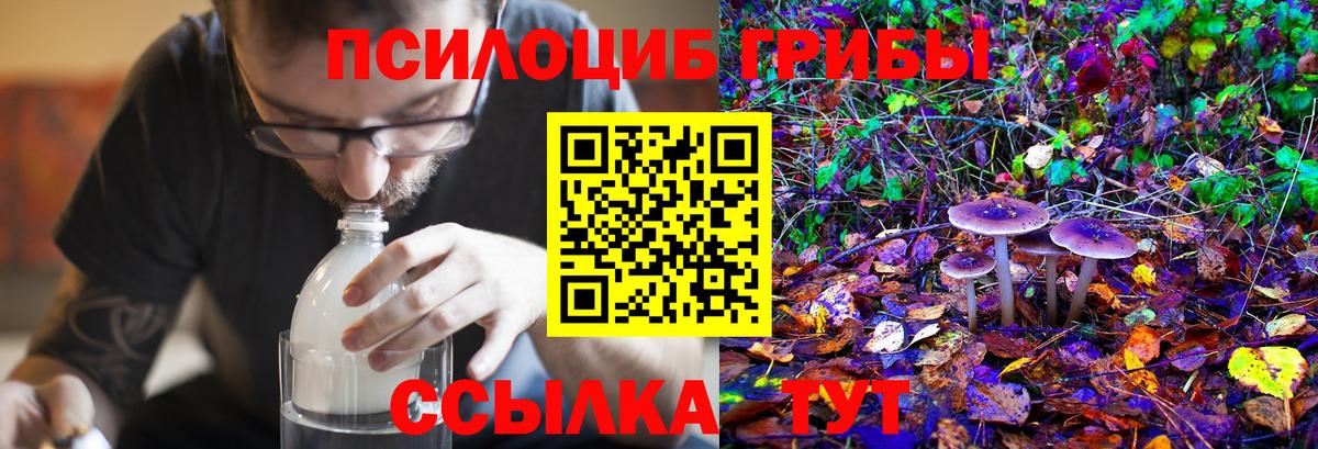 Псилоцибиновые грибы Cubensis Старая Русса