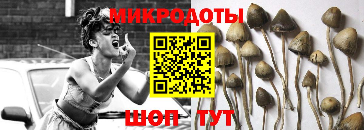 Старая Русса  Псилоцибиновые грибы Cubensis  Вход с VPN 